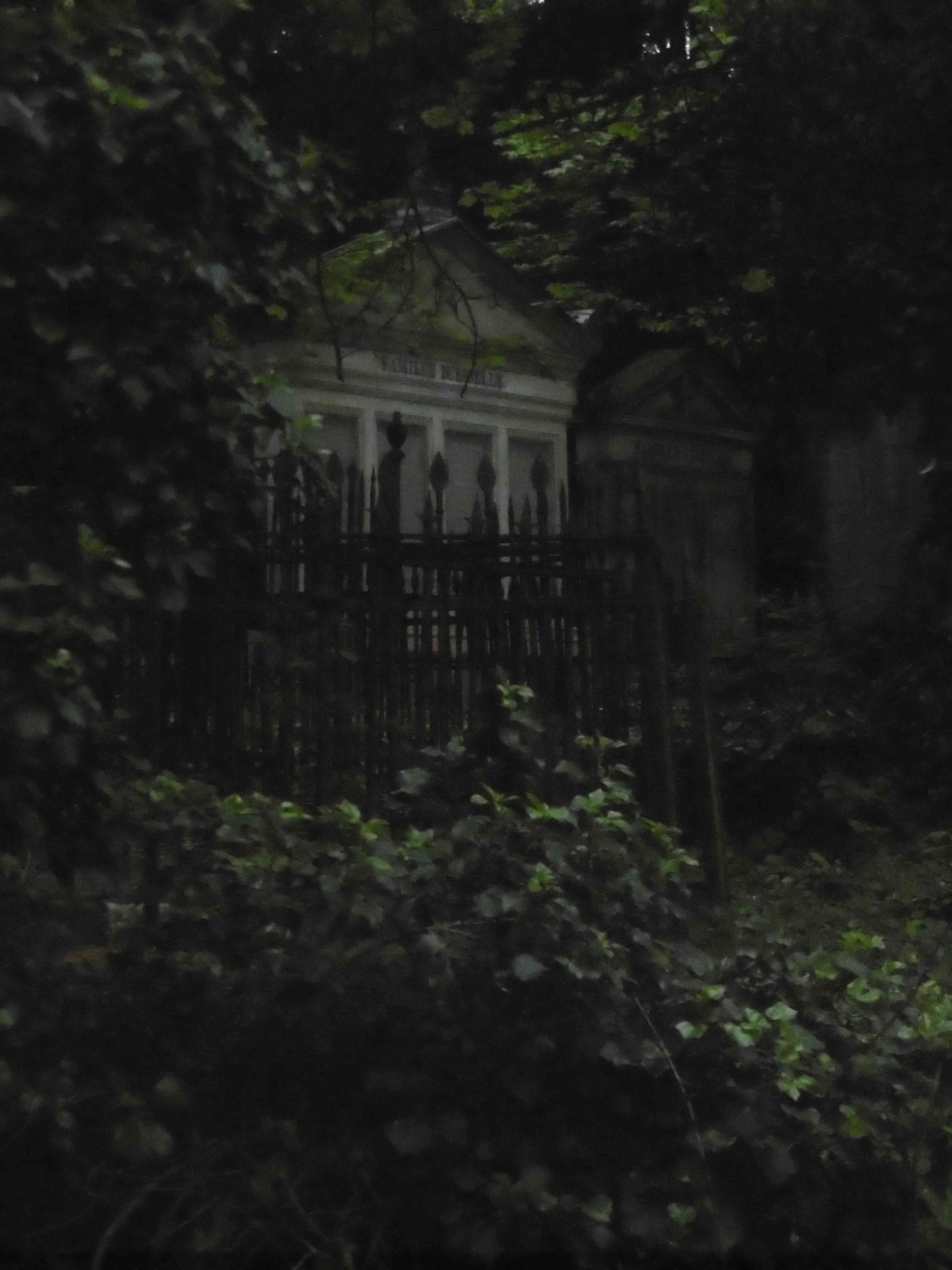 Image 16