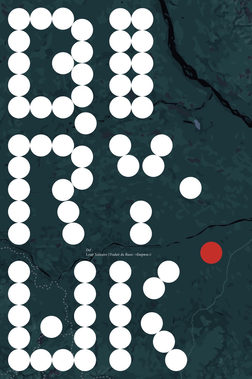 Large Image